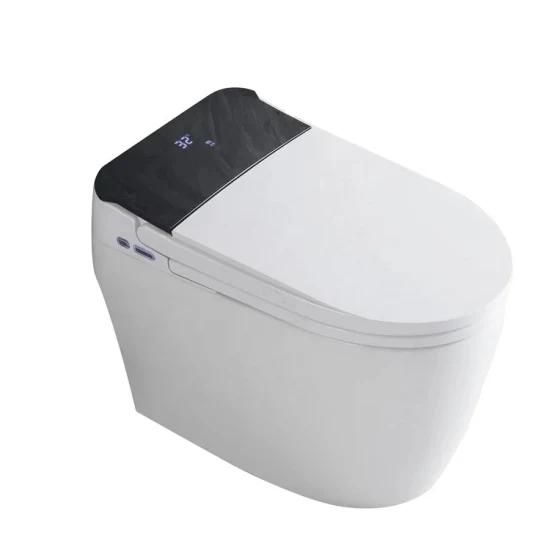 One Piece Automatic Electric Australian Standards Cleaning Smart Intelligent Toilet with Voice Control