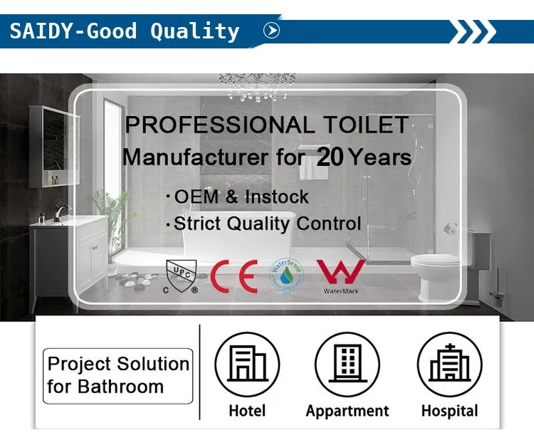 Best Selling Automatic Ceramic Sanitary Ware Smart Bidet Toilet with Tank Bathroom Wc Intelligent