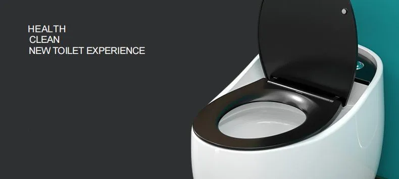 Modern Bathroom Wc Ceramic Water Closet Bowl Floor Mounted Porcelain Matt Black One Piece Toilet with Waste Pipe
