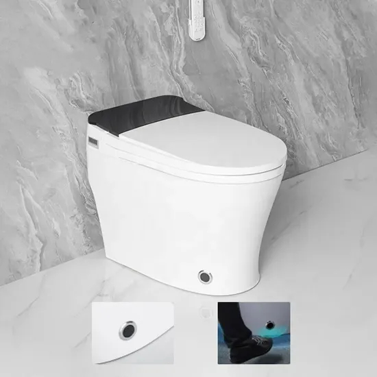 One Piece Automatic Electric Australian Standards Cleaning Smart Intelligent Toilet with Voice Control