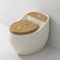 China Manufacturer New Egg Shape Colorful Toilet Siphon Jet Flush Toilet Seat Wc Bowl Saving Water Bathroom One Piece Toilet