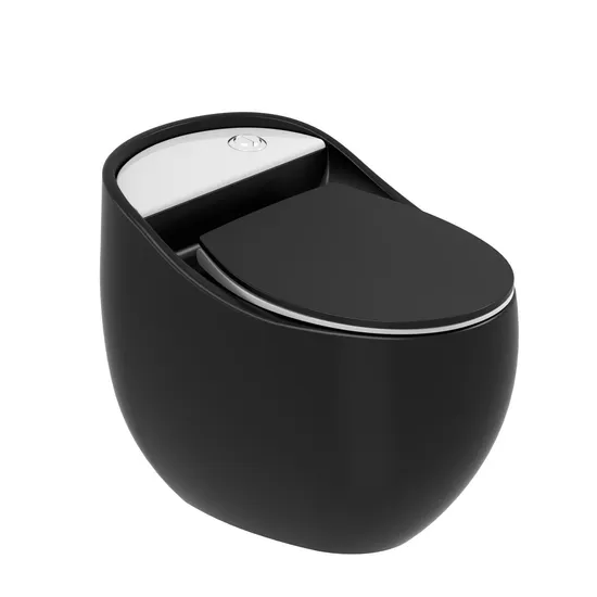 Modern Bathroom Wc Ceramic Water Closet Bowl Floor Mounted Porcelain Matt Black One Piece Toilet with Waste Pipe