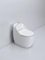 Sanitary Ware Ceramic Shape Gold Toilet Portable Green Toilet Siphonic Jet Flushing Toilet Bowl Saving Water Bathroom One Piece Toilet