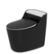 Matt Black Advance Ceramic Toilet Quality Ware Sanitary Toilet Bowl Seat