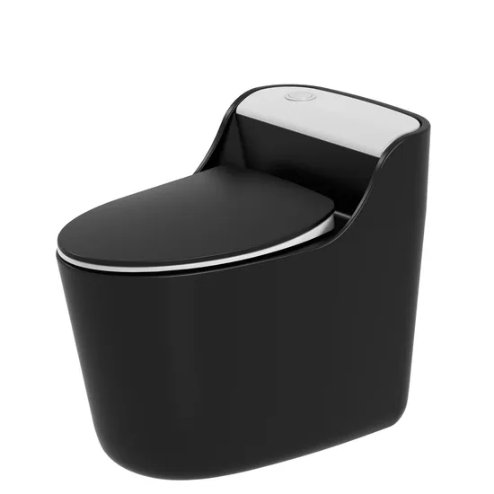 Matt Black Advance Ceramic Toilet Quality Ware Sanitary Toilet Bowl Seat