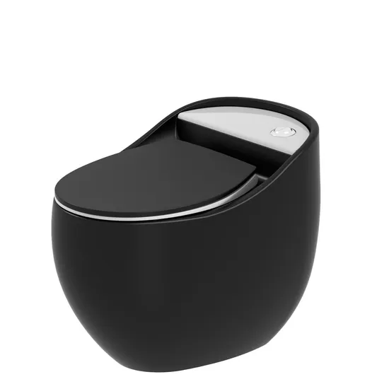 Modern Bathroom Wc Ceramic Water Closet Bowl Floor Mounted Porcelain Matt Black One Piece Toilet with Waste Pipe