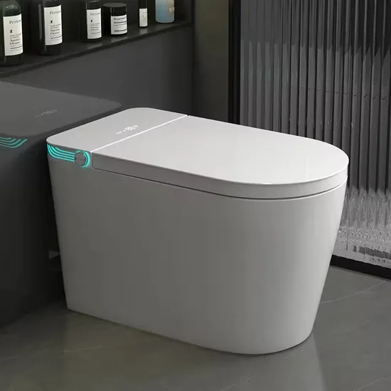 Best Selling Automatic Ceramic Sanitary Ware Smart Bidet Toilet with Tank Bathroom Wc Intelligent