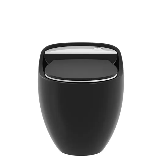 Modern Bathroom Wc Ceramic Water Closet Bowl Floor Mounted Porcelain Matt Black One Piece Toilet with Waste Pipe