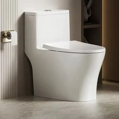 Inodoro Modern China Water Closet One Piece S-Trap Floor Mounted Toilet Bowl Bathroom Wc Toilets