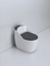 Sanitary Ware Ceramic Shape Gold Toilet Portable Green Toilet Siphonic Jet Flushing Toilet Bowl Saving Water Bathroom One Piece Toilet