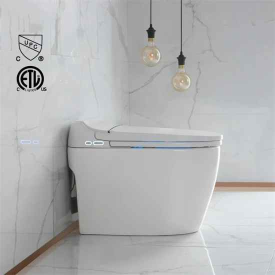 2023 Luxury Ceramic Sanitary Ware Bathroom Ceramic Siphon Floor Mounted Smart Toilet