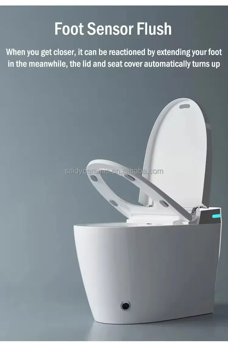 Best Selling Automatic Ceramic Sanitary Ware Smart Bidet Toilet with Tank Bathroom Wc Intelligent