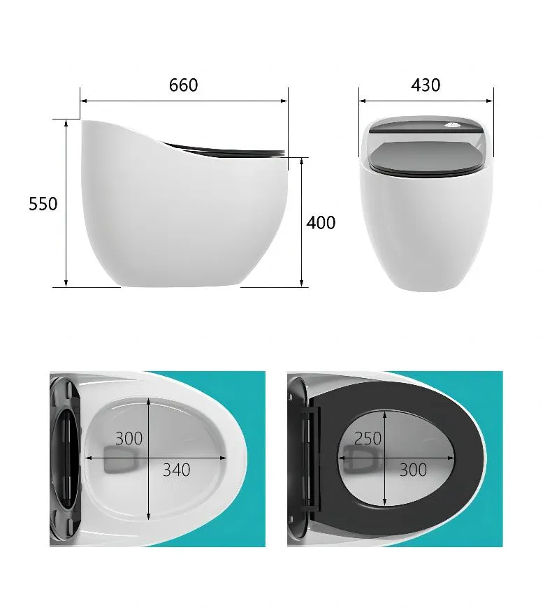 Modern Bathroom Wc Ceramic Water Closet Bowl Floor Mounted Porcelain Matt Black One Piece Toilet with Waste Pipe