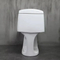 Southeast Asia Wholesale Siphon Flush S-Trap Cheap Toilets Bathroom Water Closets One Piece Toilet