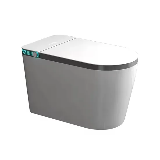 Best Selling Automatic Ceramic Sanitary Ware Smart Bidet Toilet with Tank Bathroom Wc Intelligent