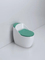 Sanitary Ware Ceramic Shape Gold Toilet Portable Green Toilet Siphonic Jet Flushing Toilet Bowl Saving Water Bathroom One Piece Toilet
